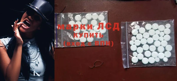твердый Тайга