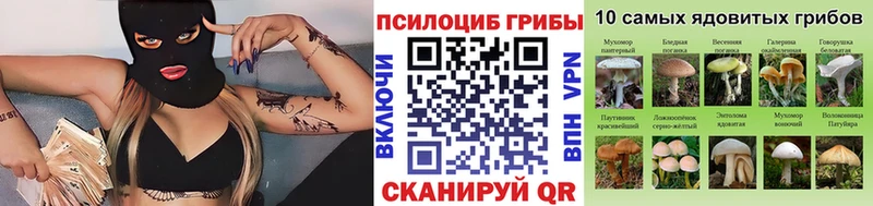 Псилоцибиновые грибы Psilocybe где найти наркотики Называевск